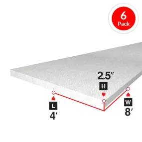 Amvic Envirosheet EN20S25004 2-1/2 in. x 4 ft. x 8 ft. Type-2 EPS Rigid Foam Board Insulation (6-Piece)