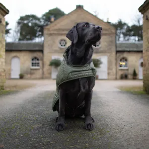 Barbour Baffle Quilt Dog Coat