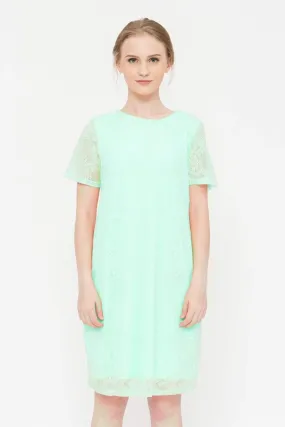 Catriona Full Lace Short Sleeve Nursing Dress Mint