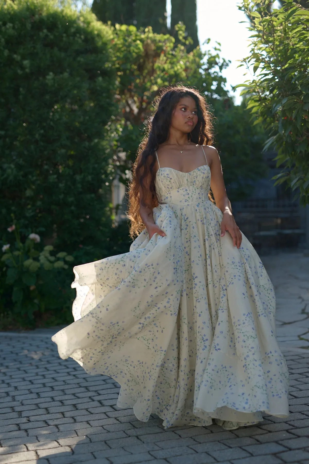 The Blue Vine Roman Holiday Gown